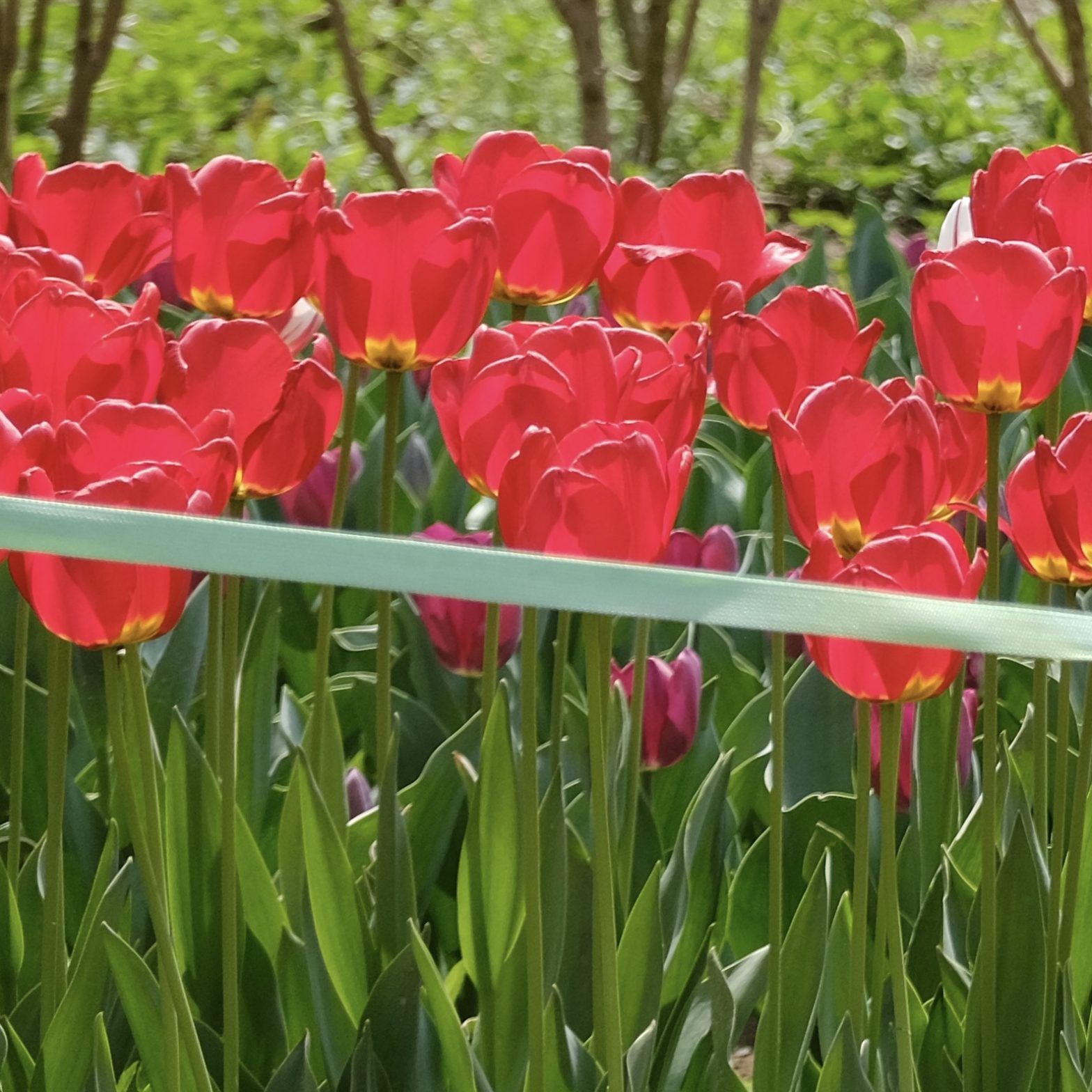 服务器迁移到 Debian